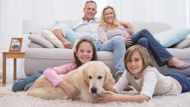 Carpet Pet Odor? 5 Easy Tips To Better Smelling Carpet