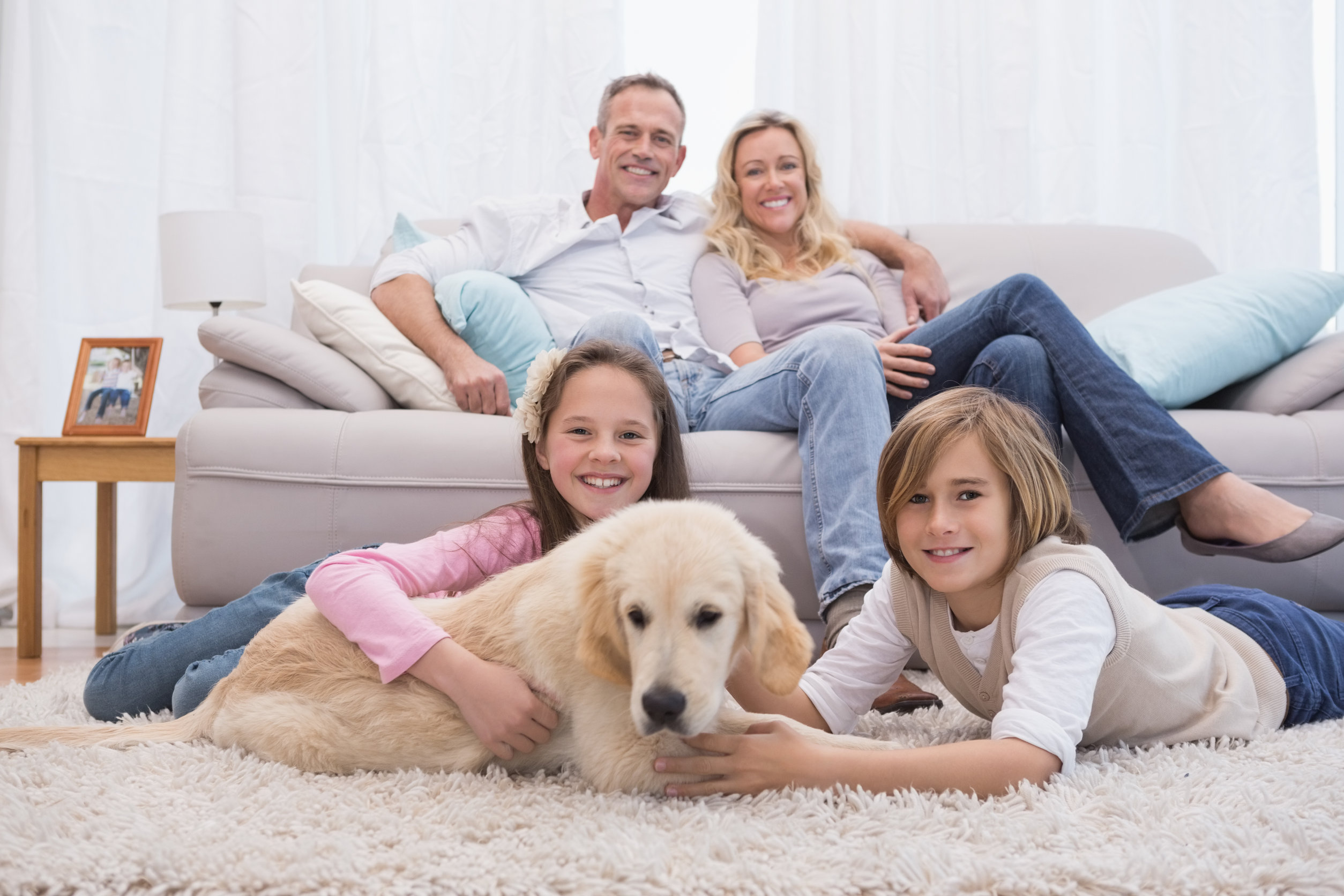 dog on carpet with family